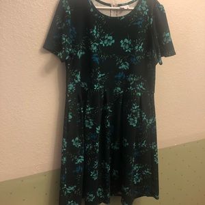 LuLaRoe Green Amelia Size 3XL